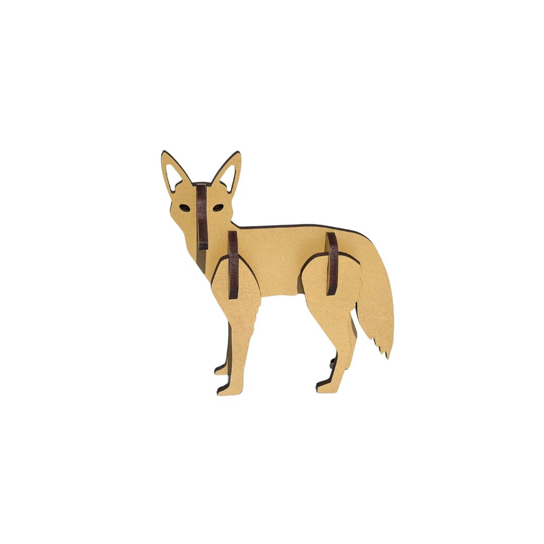 Coyote