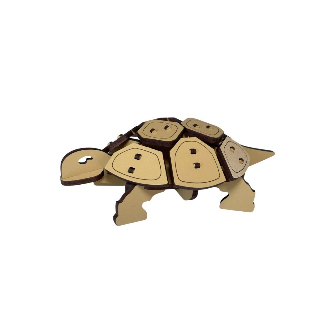 Desert Tortoise