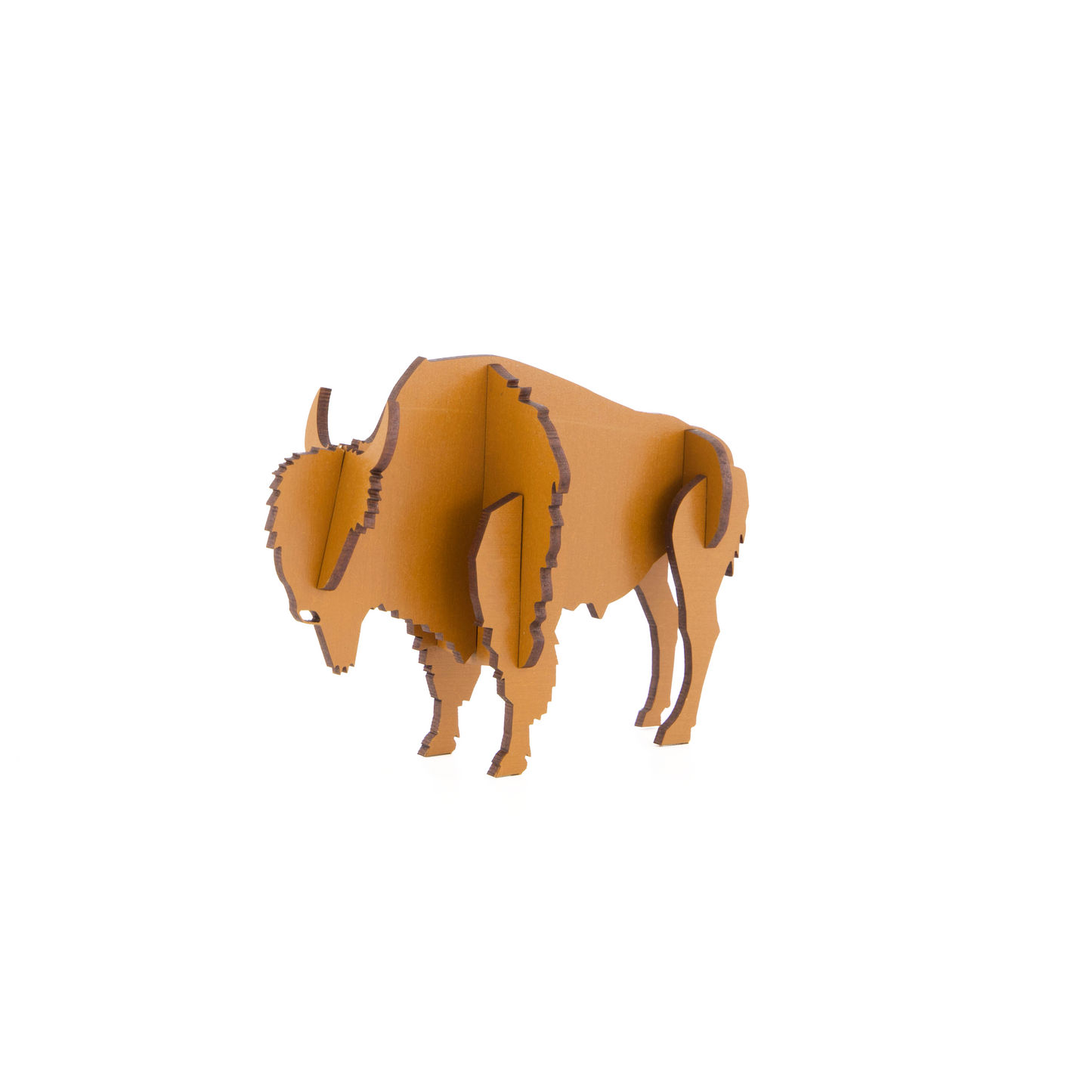 Bison