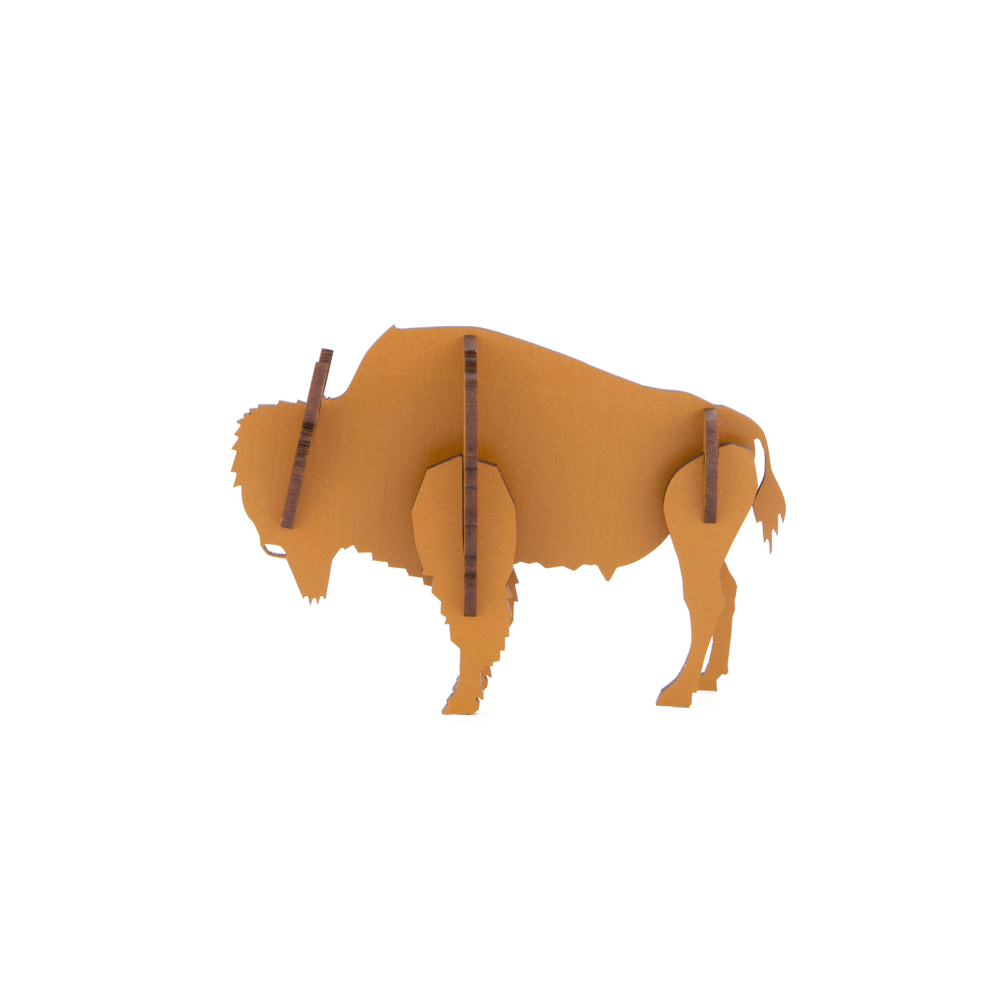 Bison