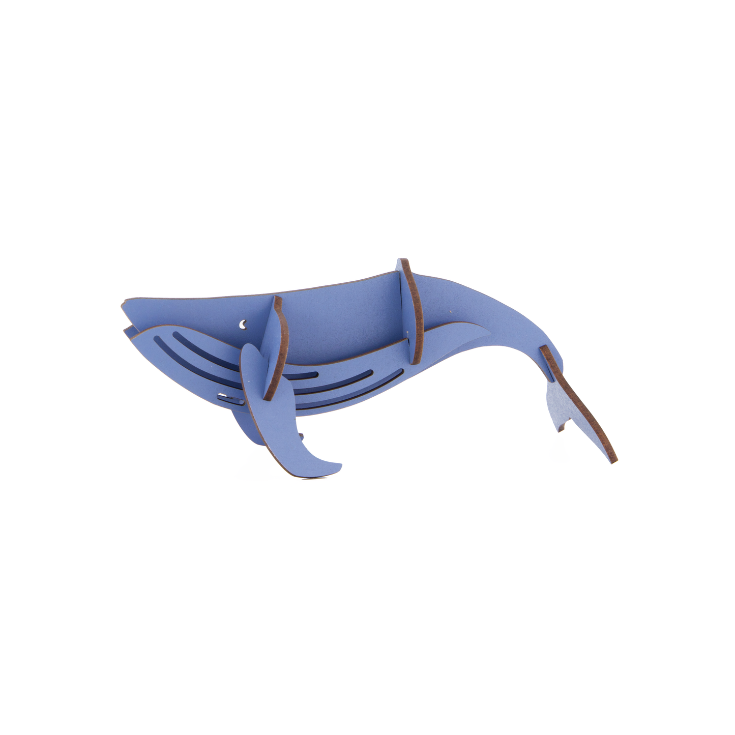Blue Whale