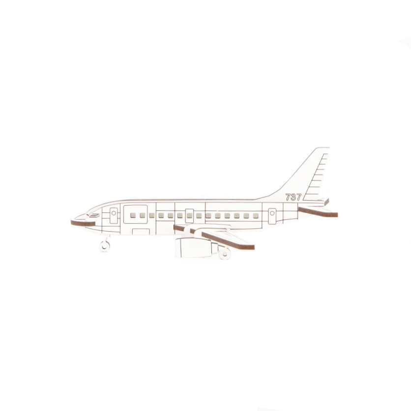 Commercial Plane