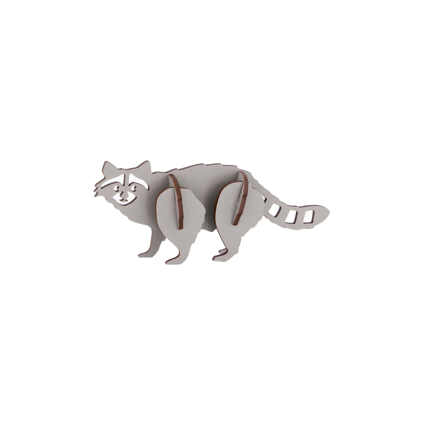 Racoon