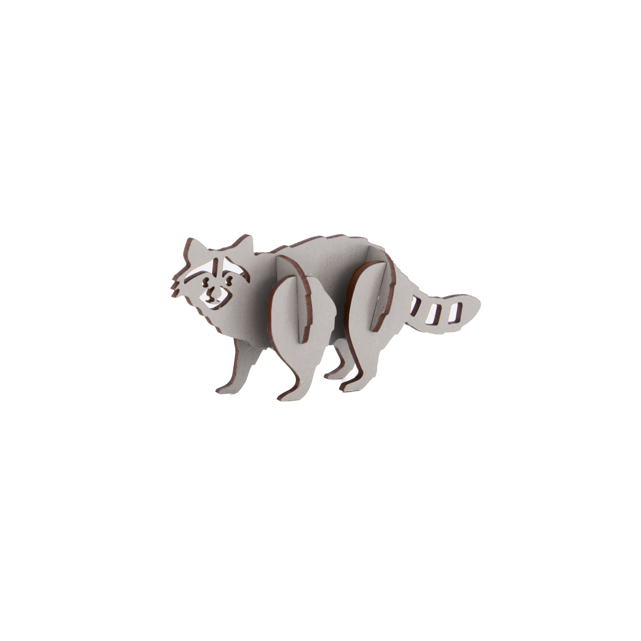 Racoon