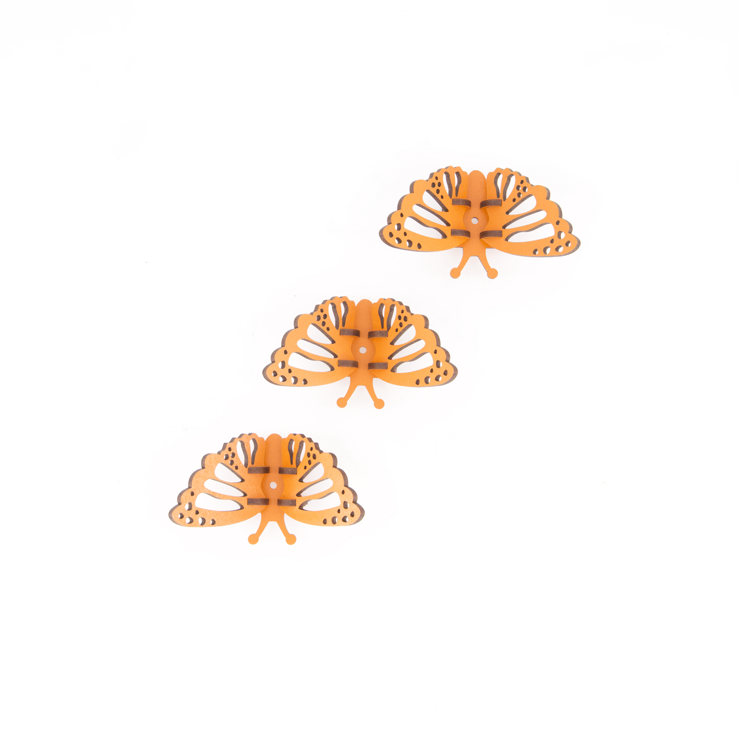 Kaleidoscope Of Butterflies