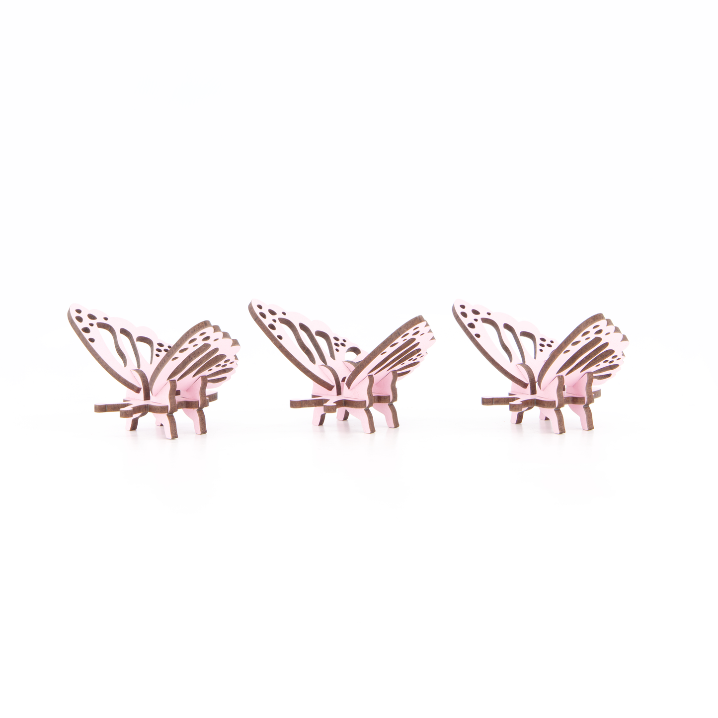 Kaleidoscope Of Butterflies
