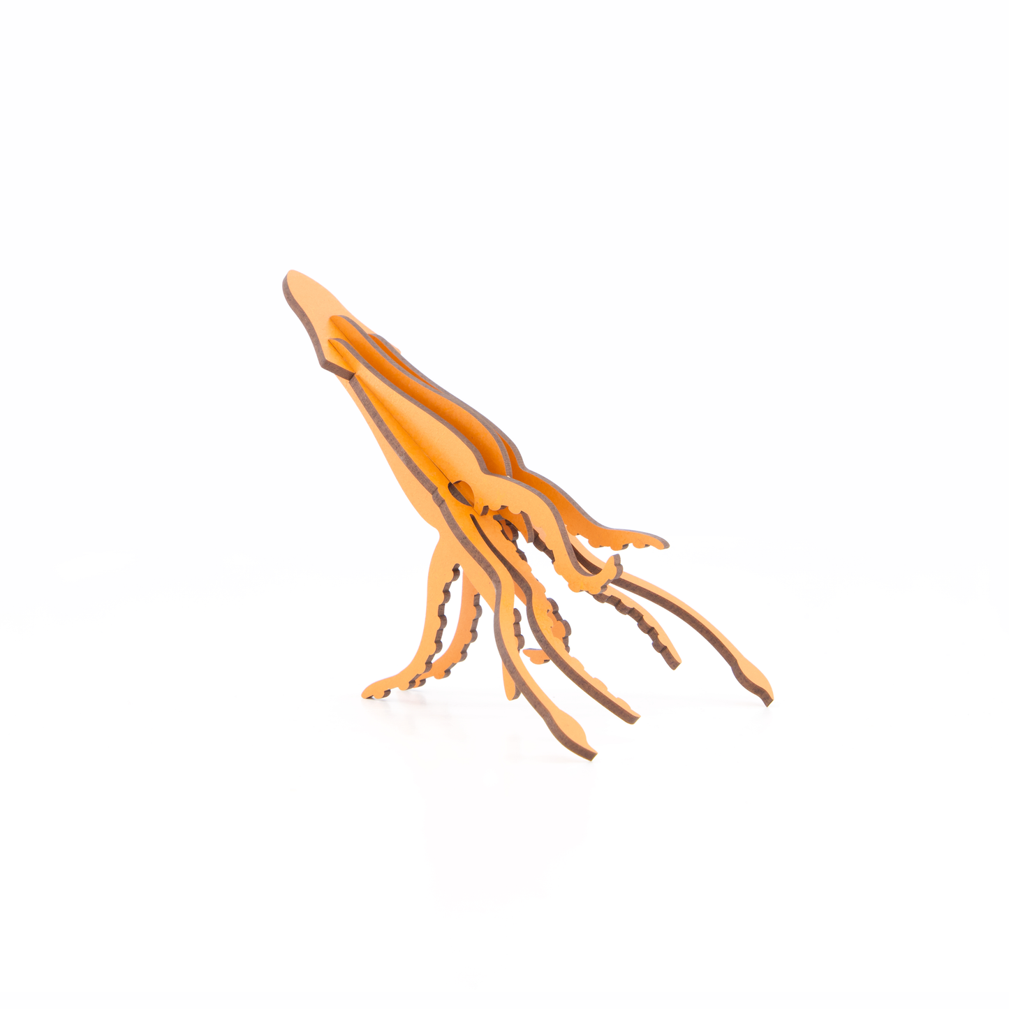 Giant Squid