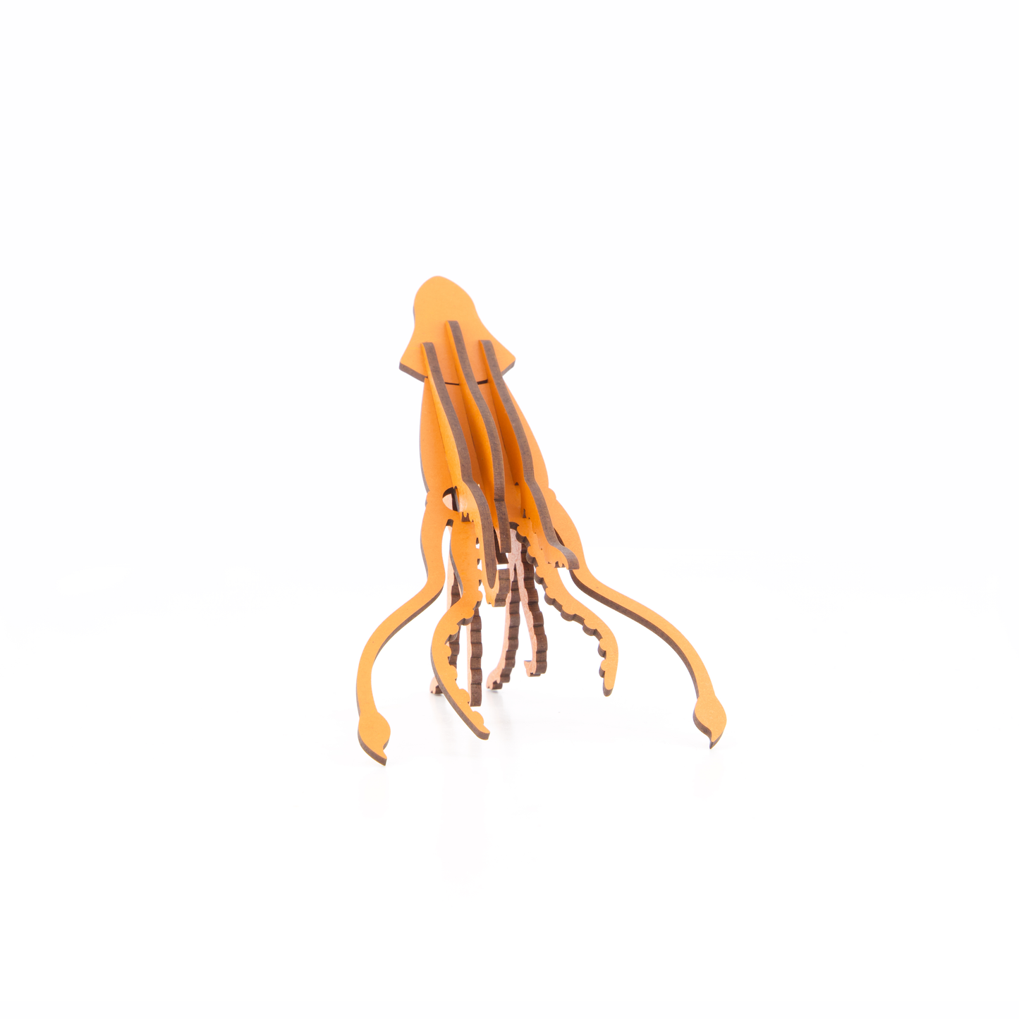 Giant Squid
