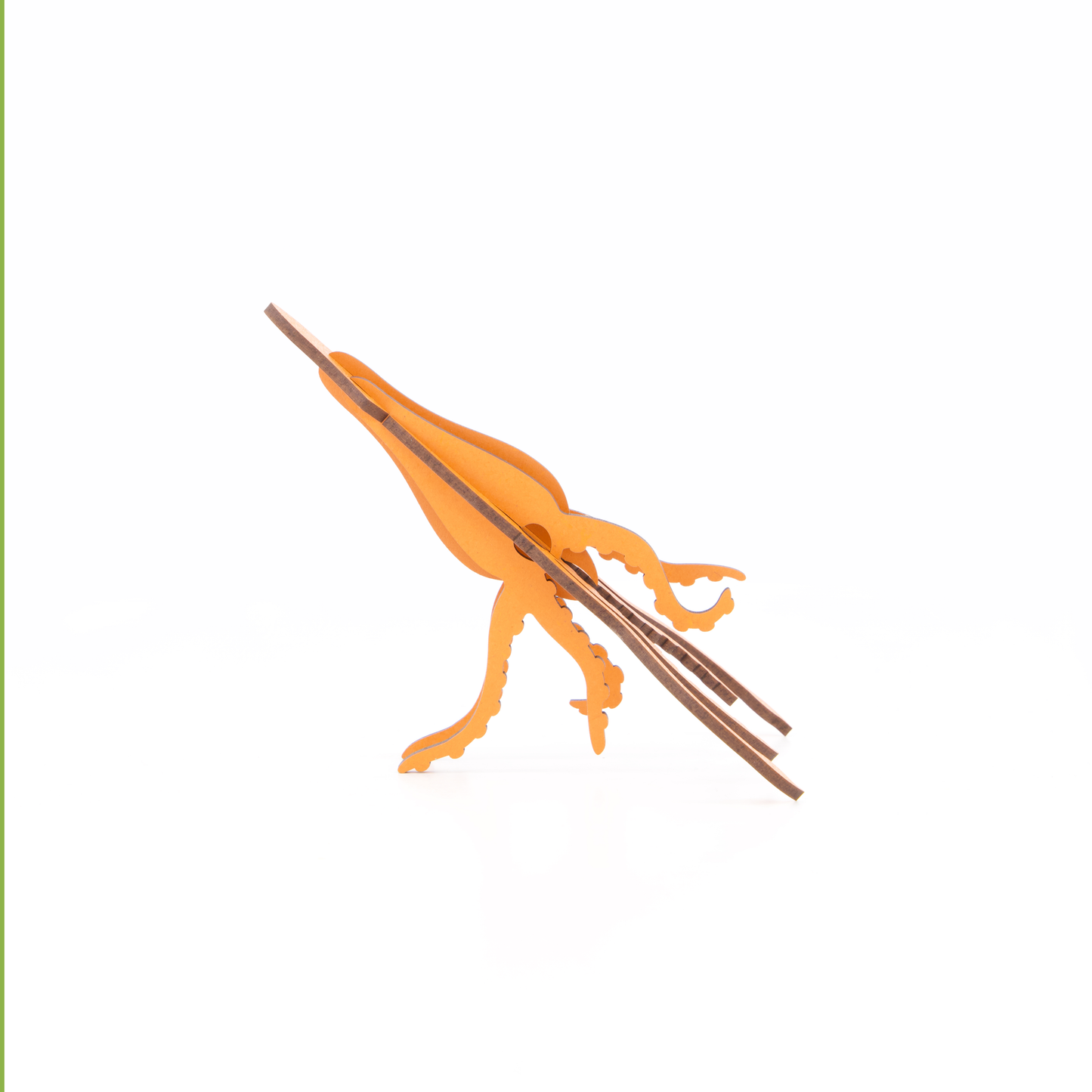 Giant Squid