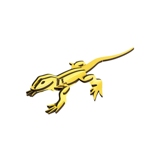 Collared Lizard