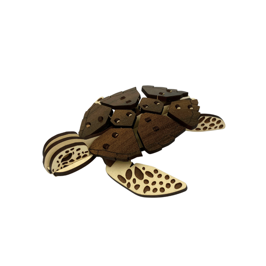 Loggerhead Turtle