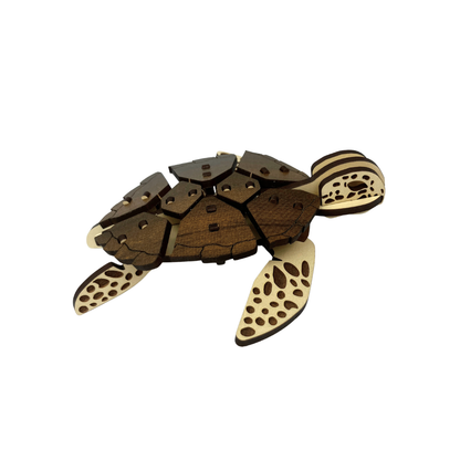 Loggerhead Turtle