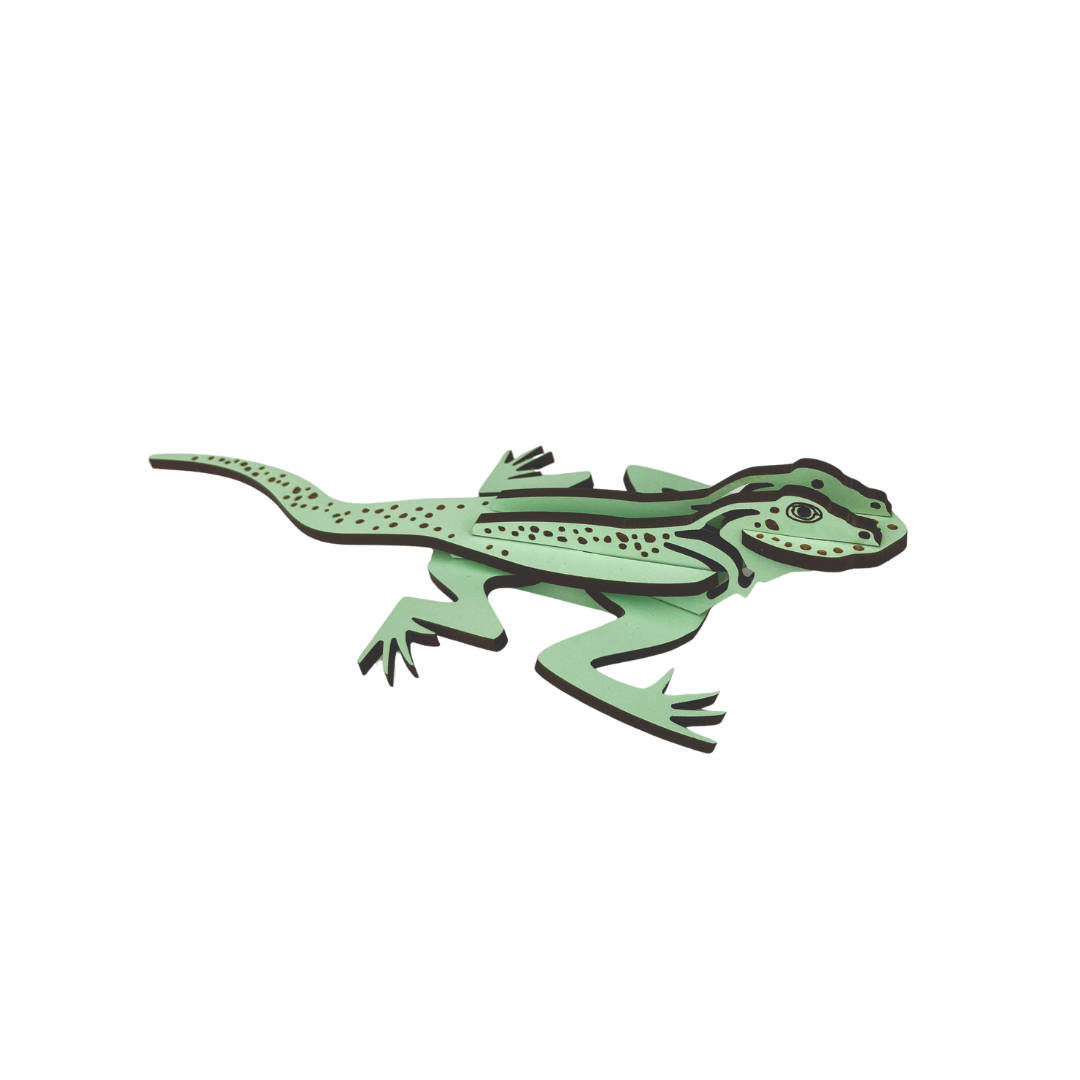 Collared Lizard