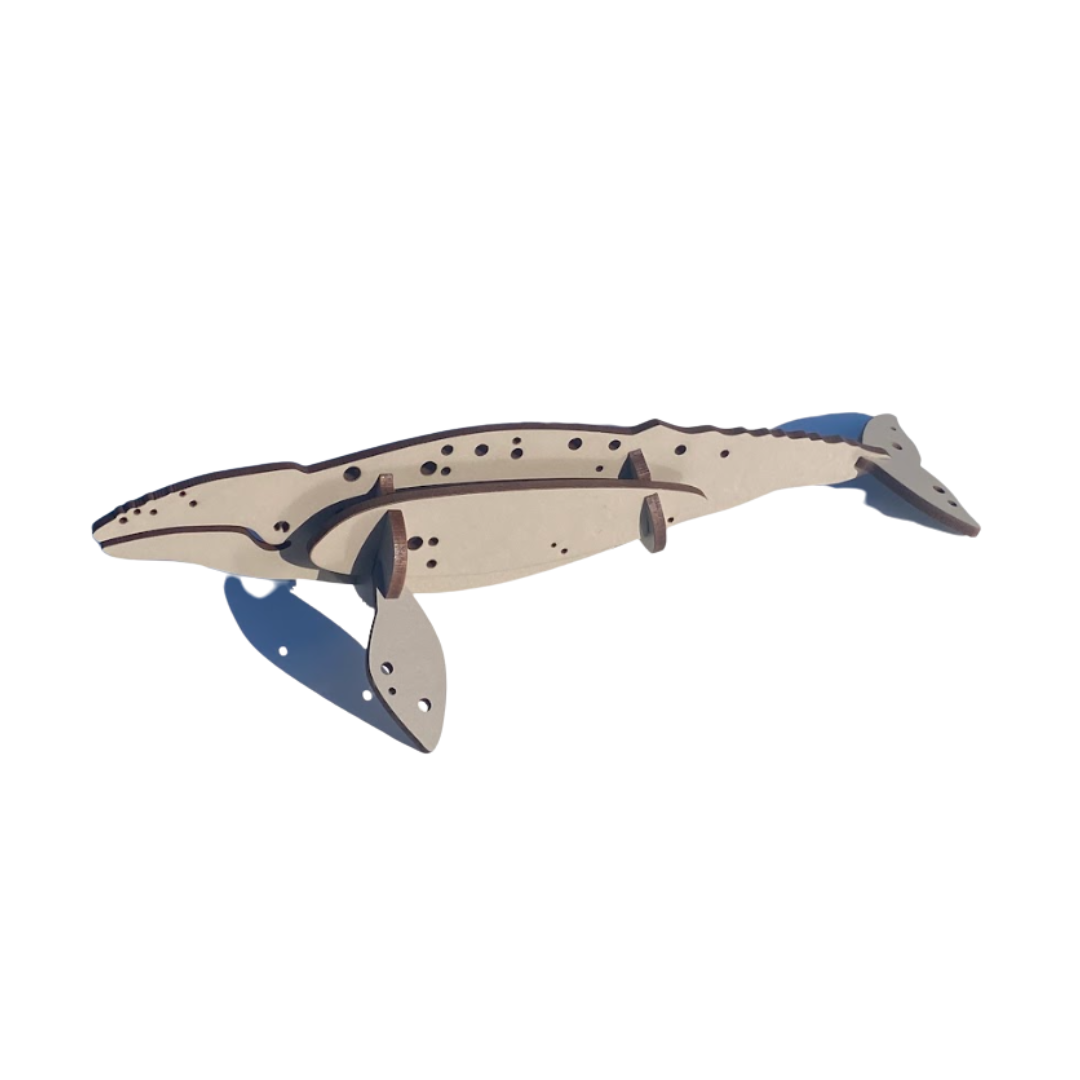 Gray Whale