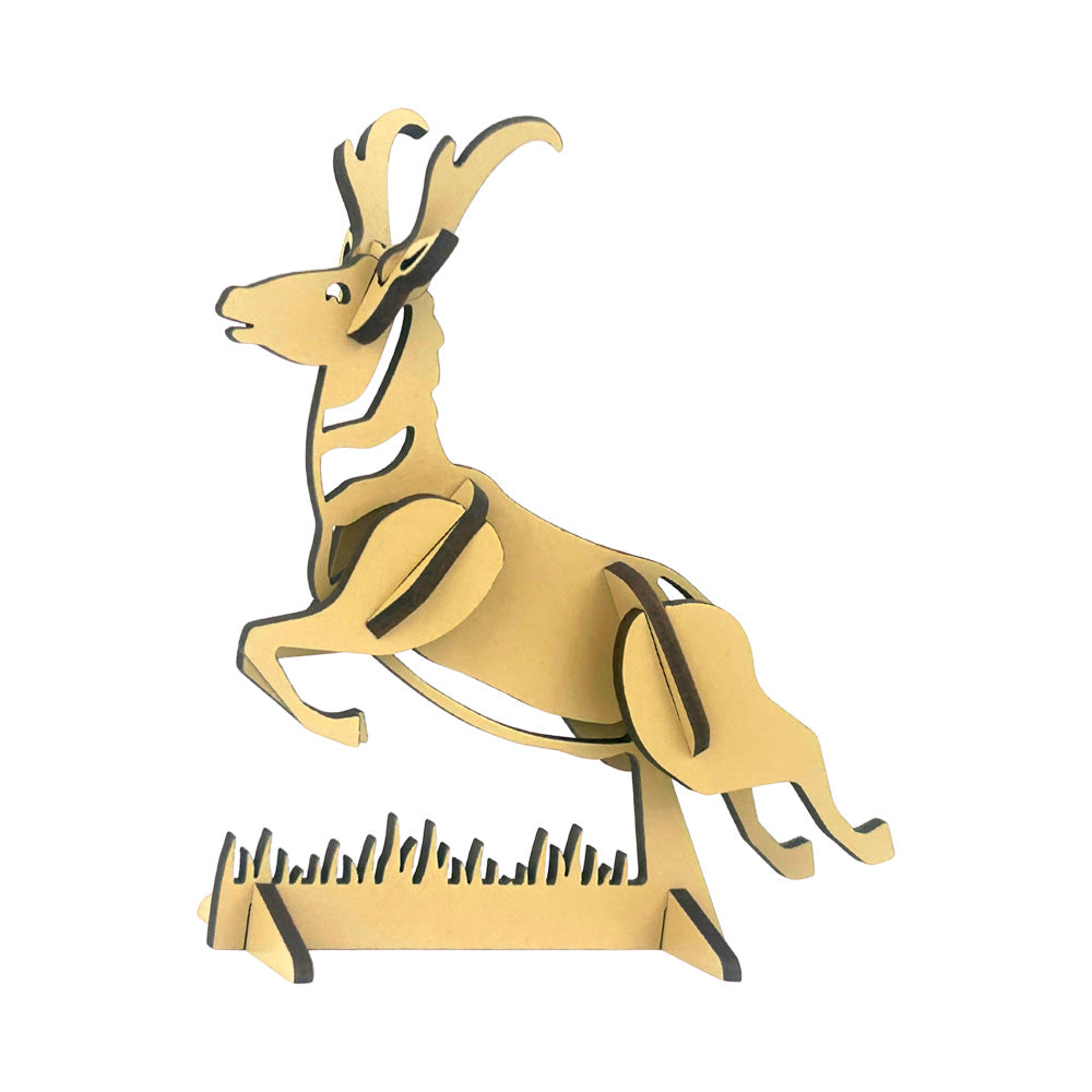 Pronghorn