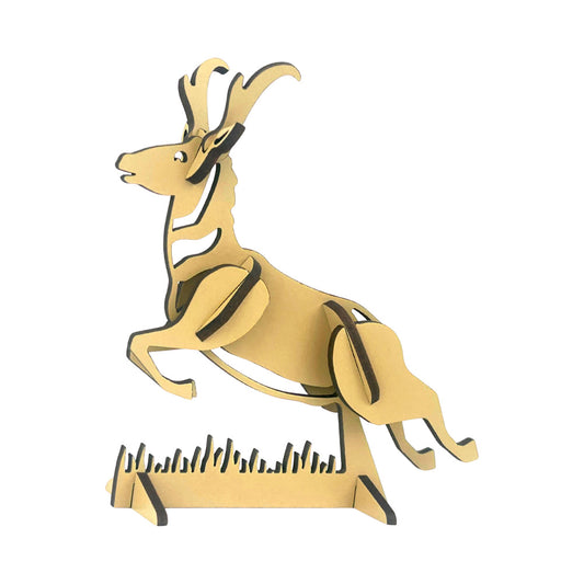 Pronghorn