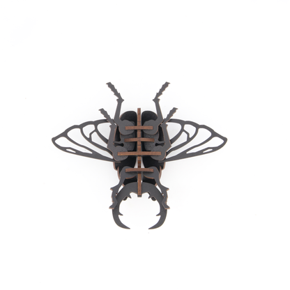 Scarab Beetle